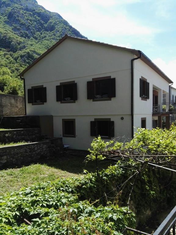 Alex Guesthouse Kotor Ngoại thất bức ảnh